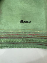 Tissue Organza saree with kanta embriodery MS15600