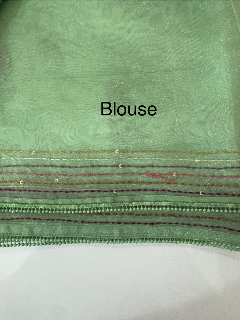 Tissue Organza saree with kanta embriodery MS15600