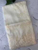 Tissue Organza saree with embroidery work MS15643