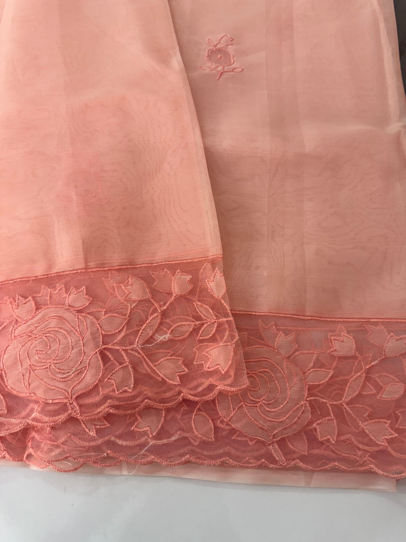 Viscose Organza saree with applique work-MSH101 Peach