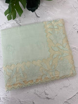 Soft Pashmina saree with organza Applique borders MSH251 - PastelAqua