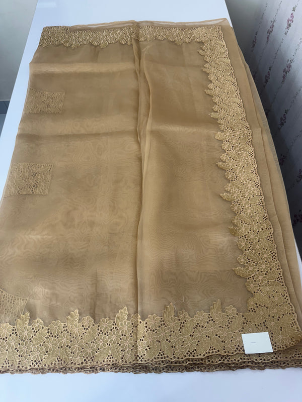 Cutwork Kora Organza saree with full cutwork blouse-  MS14154 Dark Beige