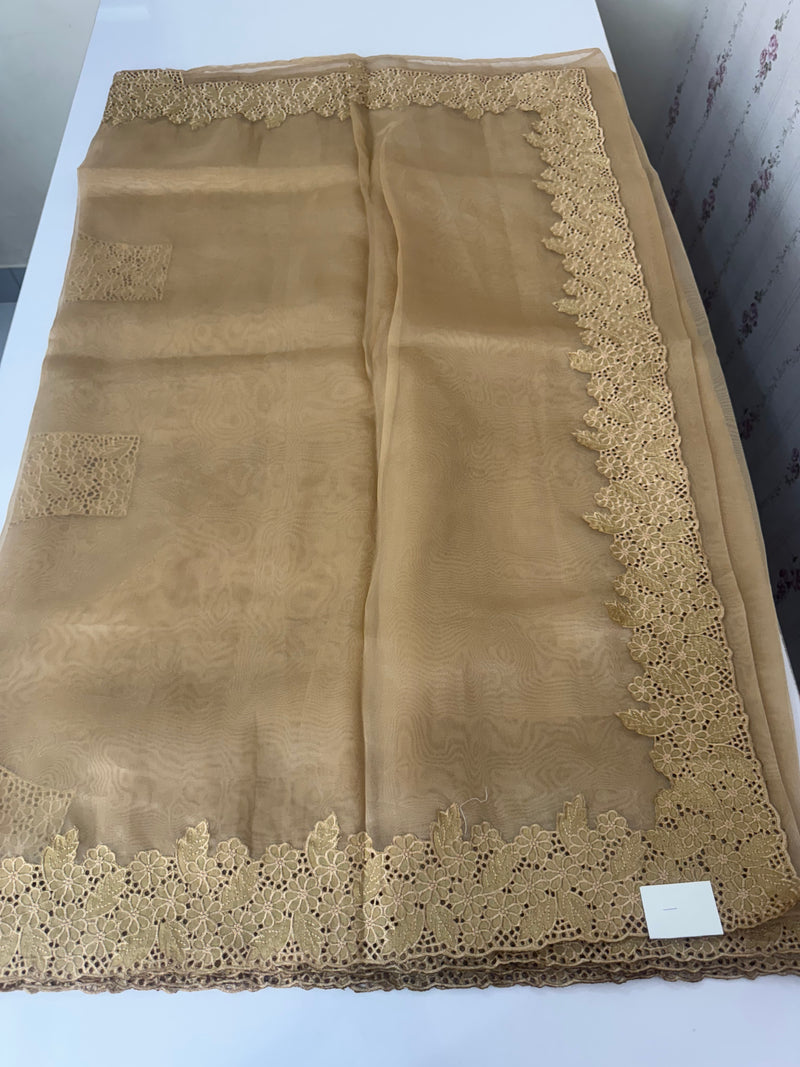 Cutwork Kora Organza saree with full cutwork blouse-  MS14154 Dark Beige