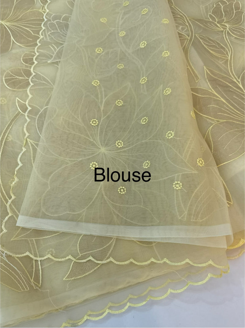 Organza saree with tissue applique work MS5081- Ivory