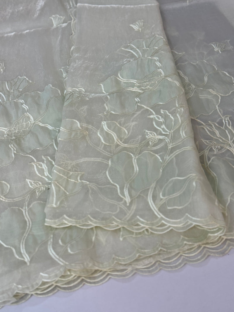 Tissue Organza Applique work saree MS15203- Pastel MintGreen