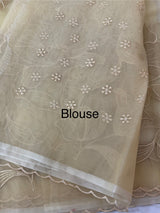 Organza saree with tissue applique work MS5081 - Beige