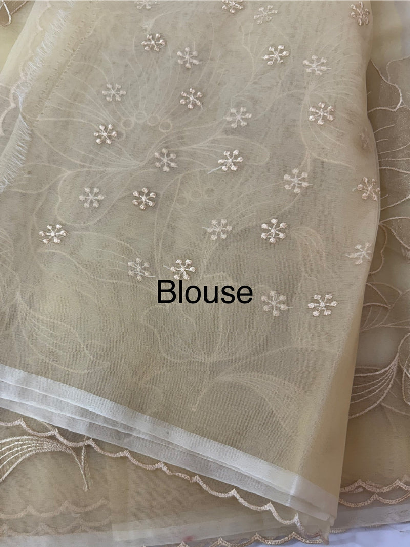 Organza saree with tissue applique work MS5081 - Beige