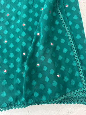 Chiffon Brasso saree with foil mirror work - MS7621