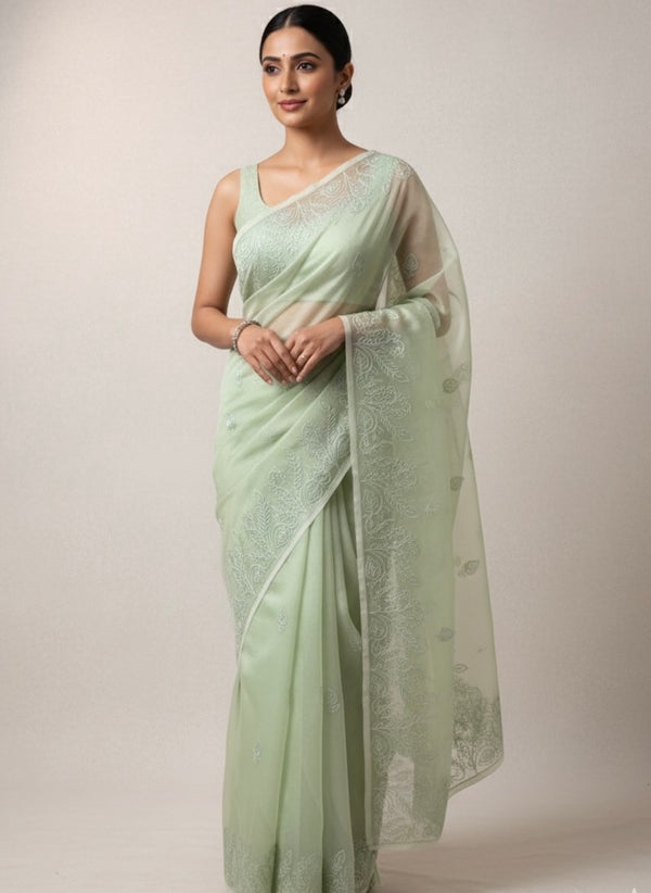Semi organza saree with lace embroidery MSH117- Pastel PistaGreen