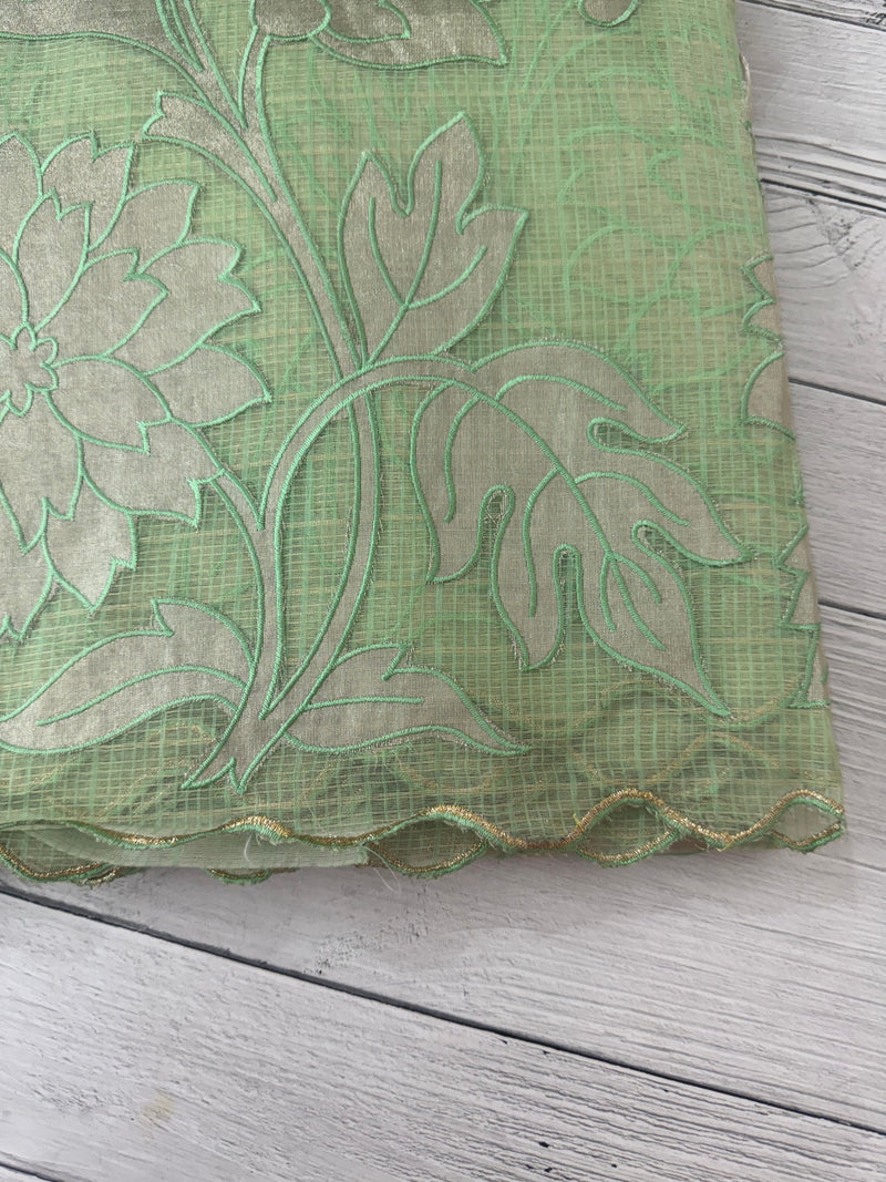 NetKota saree with tissue applique work MS15145 - PastelGreen
