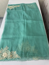 Georgette - Organza saree with applique work MS16057