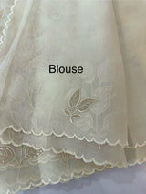 Viscose Organza saree with applique work -MSH230 Offwhite