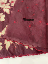 Semi organza saree with tissue applqiue work - MSH931