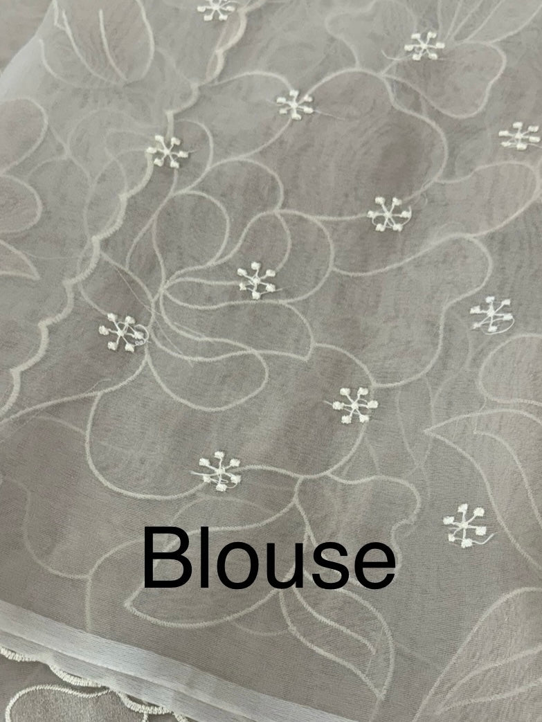 Organza saree with tissue applique work MS5081 Pastel CloudGrey