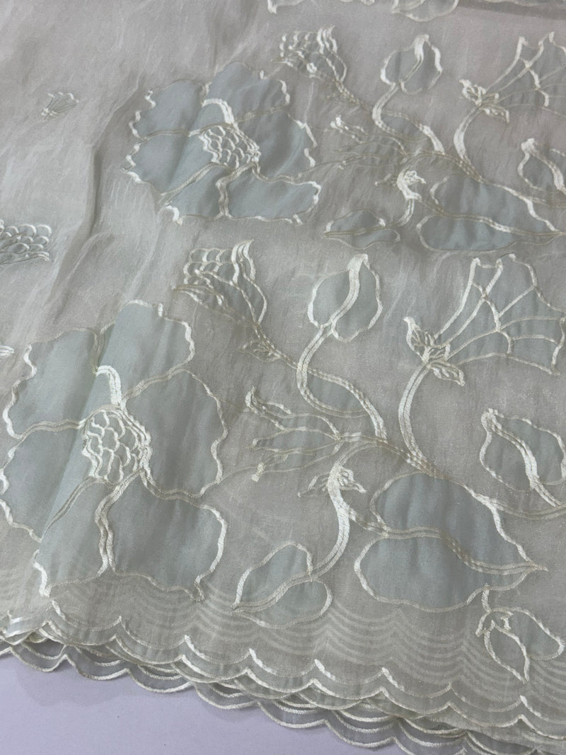 Tissue Organza Applique work saree MS15203