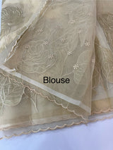 Organza saree with tissue applique work MS5081 - Beige