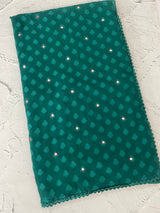 Chiffon Brasso saree with foil mirror work - MS7621
