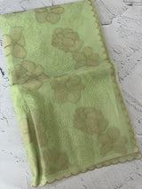 Viscose organza saree with thread work - MSH925 PastelGreen