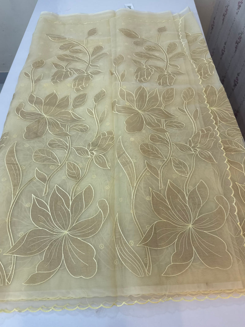 Organza saree with tissue applique work MS5081- Ivory