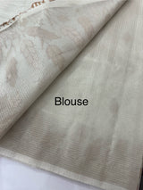 Tissue silk saree with applique work  MSH105