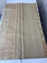Tissue silk saree with applique work MTSS987