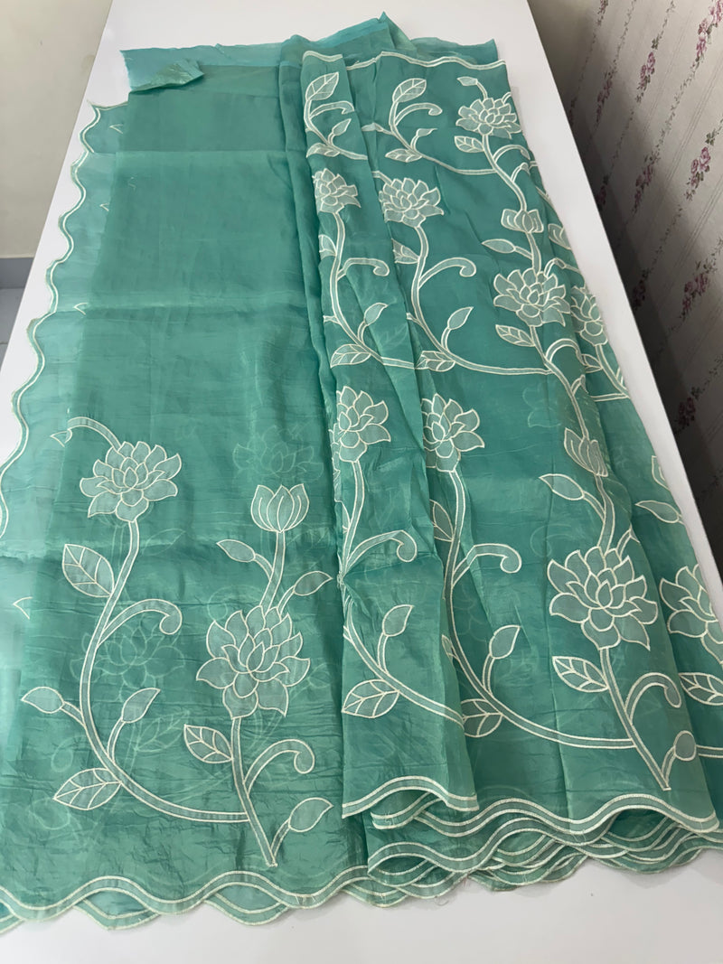 Crush Organza Applique work saree MS14987- Blue