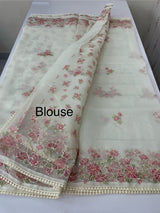 Organza saree with prints & hand embriodery work MS15333