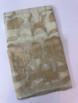 Organza saree with tissue applique work MS5081 - Pastel DuskyGreen