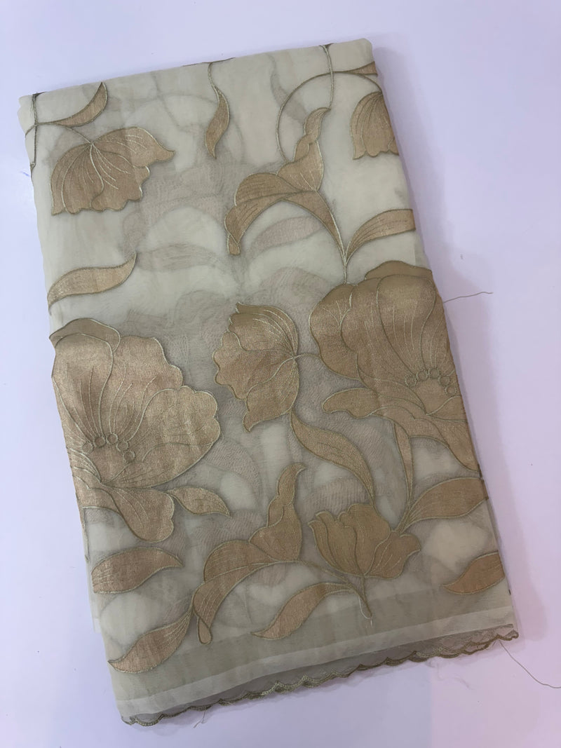 Organza saree with tissue applique work MS5081 - Pastel DuskyGreen
