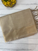 Tissue silk saree MTTS65