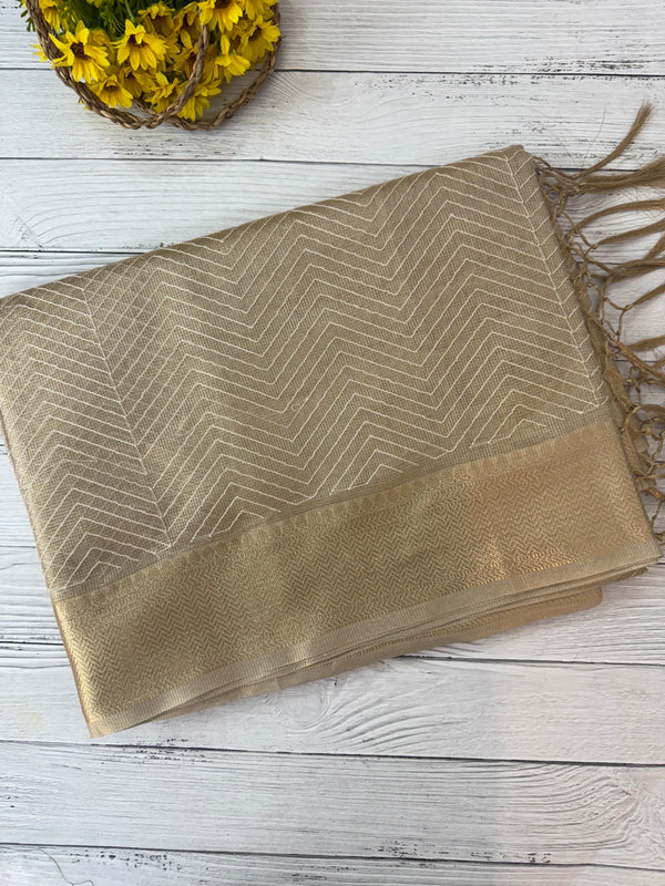 Tissue silk saree MTTS65