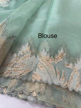 Soft Turkish Organza saree MSOS101