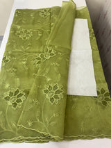 Glass organza saree with applique work- MSHW229