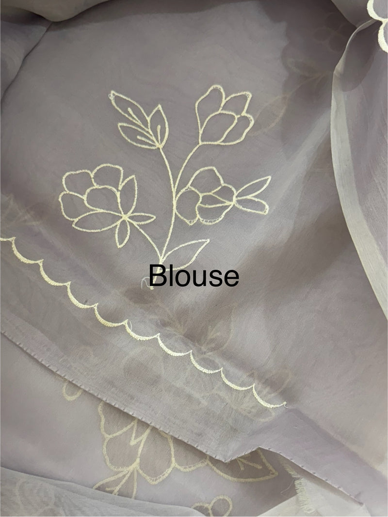 Organza saree with applique work MS5081