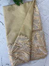 Soft Turkish Organza saree MSOS101