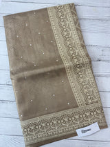 Tissue silk saree with Chikankari embroidery MTTS97(4)