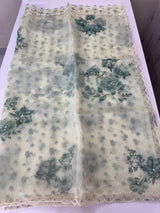 Handworked Glass organza saree with digital prints- MOS987