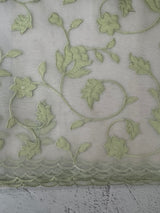 Viscose Organza saree with applique work-MSH194