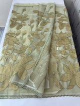 Organza saree with tissue applique work MS5081 - Pastel DuskyGreen