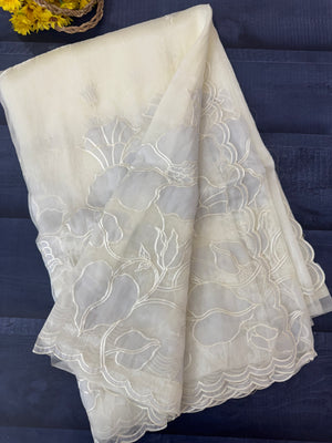 Tissue Organza Applique work saree MS15203