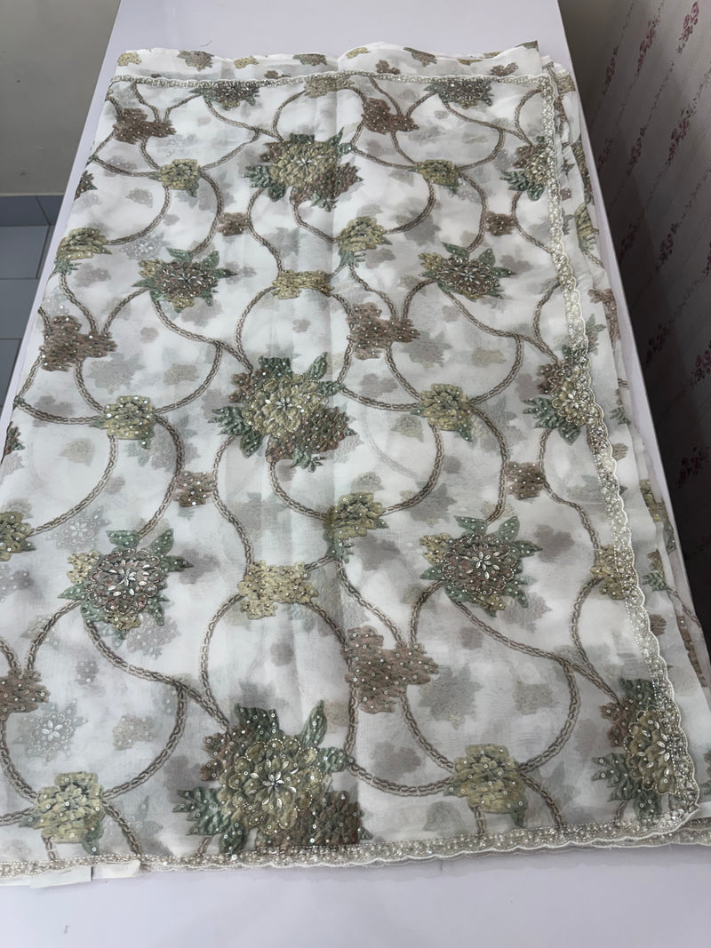 Handworked chiffon Organza saree MCS4534