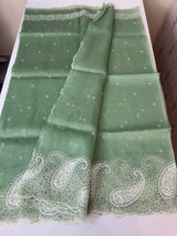 Viscose Organza saree with embriodery-MS14414