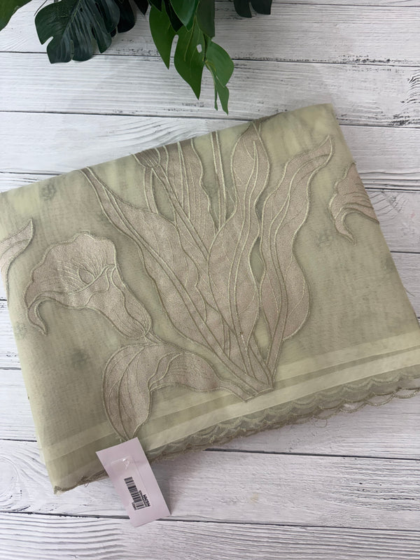 Organza saree with tissue applique work MS5081 - Pastel DuskyGreen