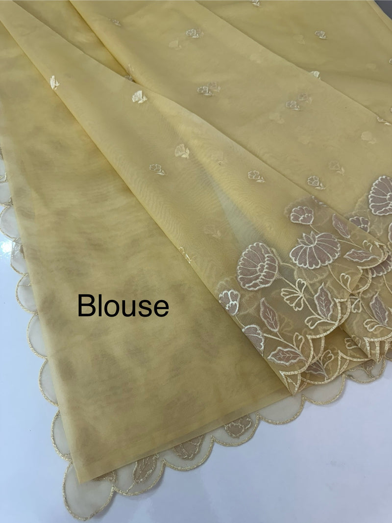Viscose Organza saree with applique work-MSH103 CreamyYellow
