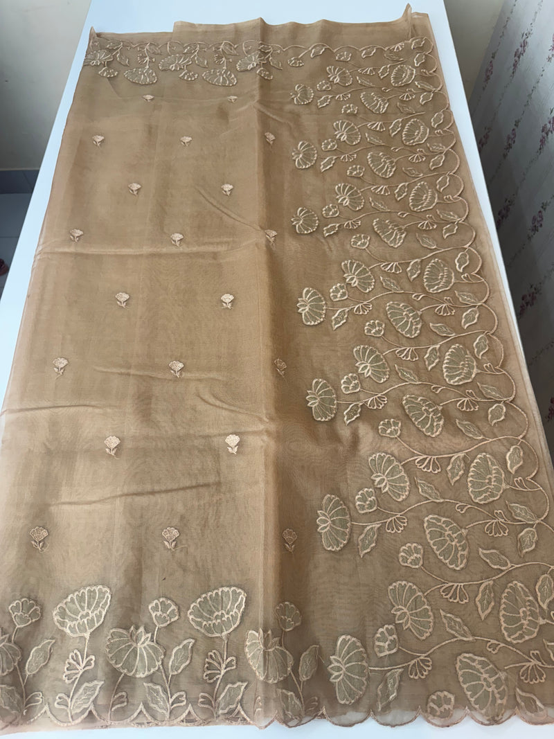 Viscose Organza saree with applique work-MSH103 DarkBeige