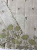 Tissue silk saree with applique work  MSH105