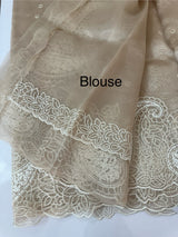 Viscose Organza saree with embriodery-MS14414