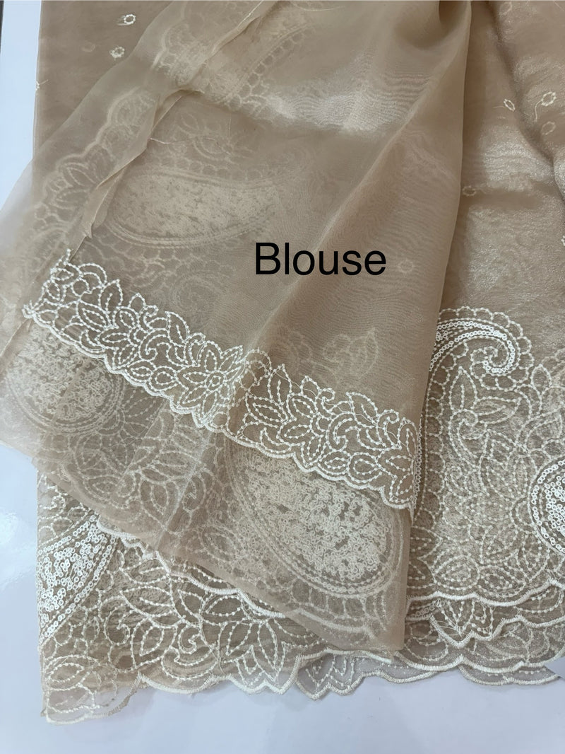 Viscose Organza saree with embriodery-MS14414