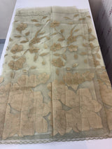Organza saree with tissue applique work MS5081 - Pastel DuskyGreen