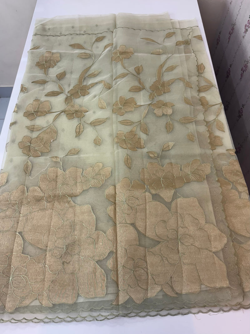 Organza saree with tissue applique work MS5081 - Pastel DuskyGreen